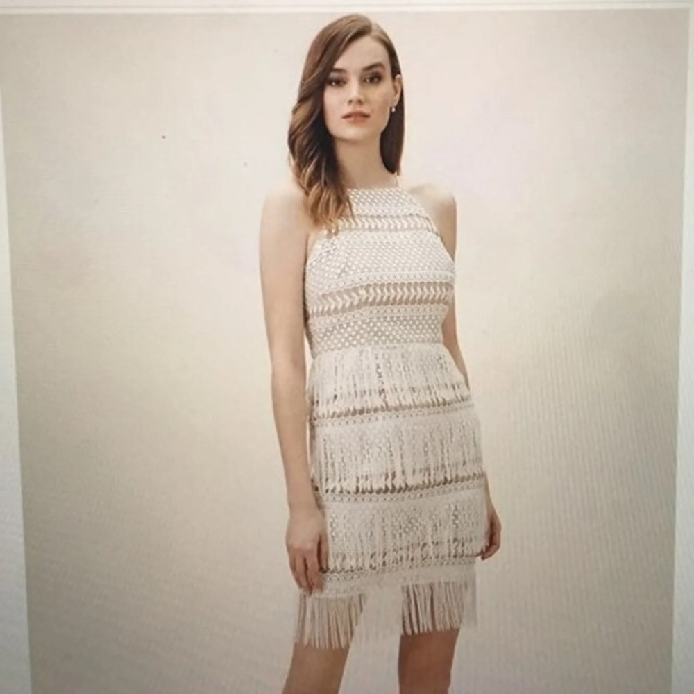 NWT ANTHROPOLOGIE BRINDLEY FRINGE DRESS S6